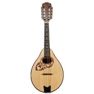 Προσφορά Δεκεμβρίου. Μαντολίνο, βαλίτσα, χορδές Lenzner Silver  Τιμή 370,00€ - Ισχύει μέχρι εξαντλήσεως του αποθέματος.